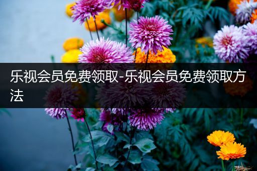乐视会员免费领取-乐视会员免费领取方法