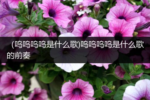 (呜呜呜呜是什么歌)呜呜呜呜是什么歌的前奏