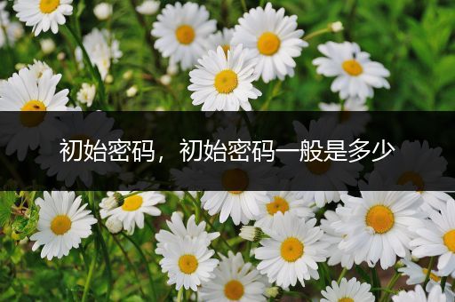 初始密码,初始密码一般是多少