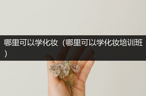 哪里可以学化妆(哪里可以学化妆培训班)