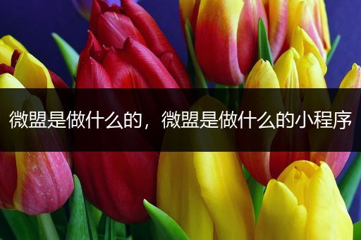 微盟是做什么的,微盟是做什么的小程序