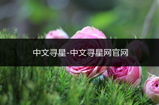 中文寻星-中文寻星网官网