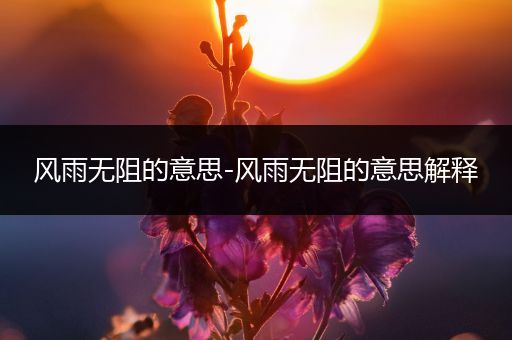 风雨无阻的意思-风雨无阻的意思解释