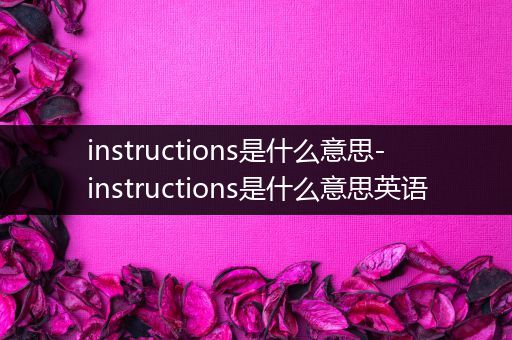instructions是什么意思-instructions是什么意思英语
