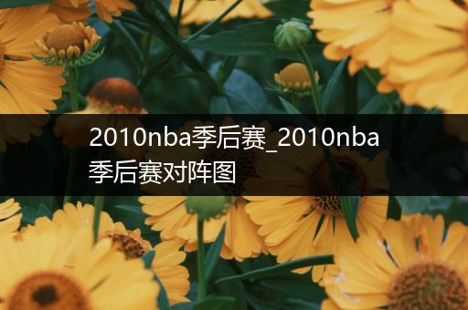 2010nba季后赛_2010nba季后赛对阵图
