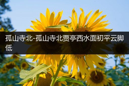 孤山寺北-孤山寺北贾亭西水面初平云脚低