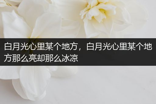 白月光心里某个地方,白月光心里某个地方那么亮却那么冰凉