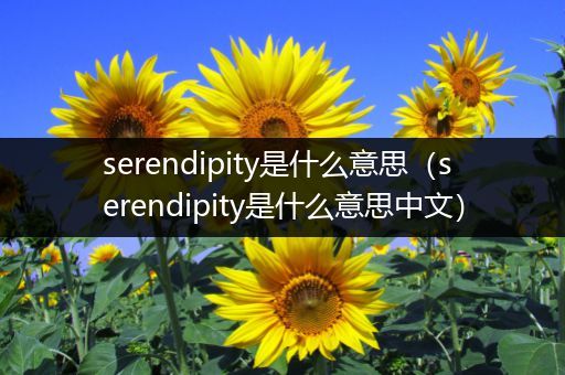serendipity是什么意思(serendipity是什么意思中文)