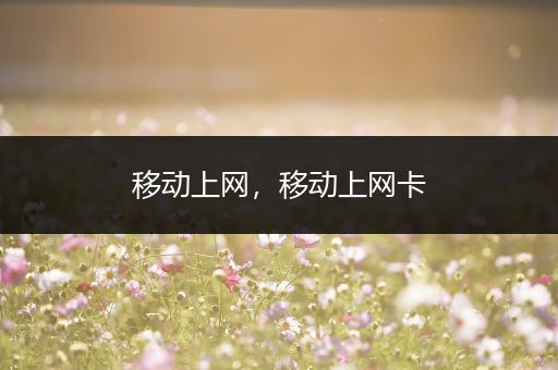 移动上网,移动上网卡
