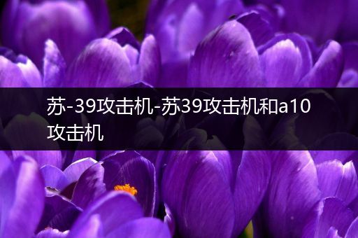 苏-39攻击机-苏39攻击机和a10攻击机