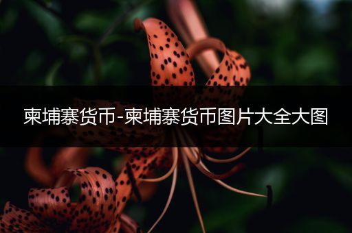 柬埔寨货币-柬埔寨货币图片大全大图