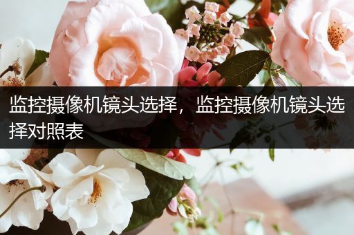 监控摄像机镜头选择,监控摄像机镜头选择对照表