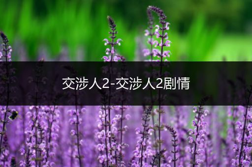 交涉人2-交涉人2剧情