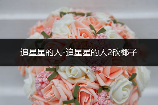 追星星的人-追星星的人2砍椰子