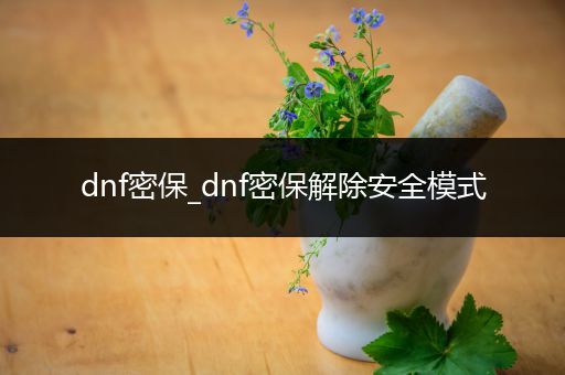 dnf密保_dnf密保解除安全模式