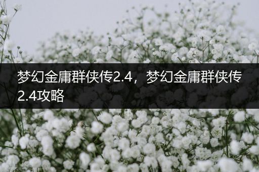 梦幻金庸群侠传2.4,梦幻金庸群侠传2.4攻略