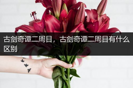 古剑奇谭二周目,古剑奇谭二周目有什么区别