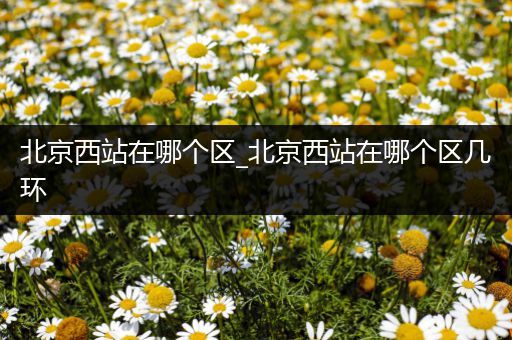北京西站在哪个区_北京西站在哪个区几环