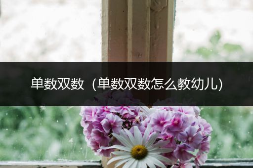 单数双数(单数双数怎么教幼儿)