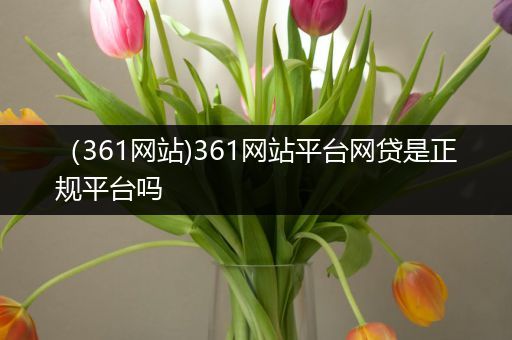(361网站)361网站平台网贷是正规平台吗
