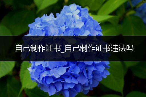 自己制作证书_自己制作证书违法吗