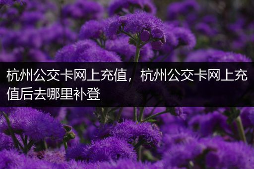 杭州公交卡网上充值,杭州公交卡网上充值后去哪里补登