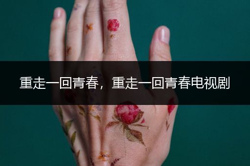 重走一回青春,重走一回青春电视剧