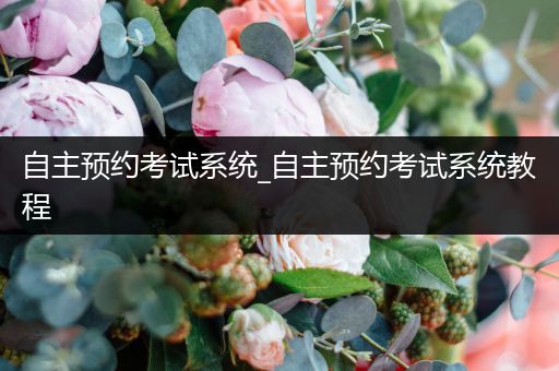 自主预约考试系统_自主预约考试系统教程