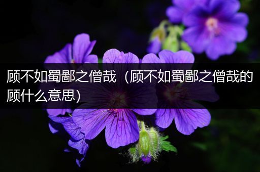 顾不如蜀鄙之僧哉(顾不如蜀鄙之僧哉的顾什么意思)