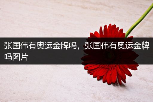 张国伟有奥运金牌吗,张国伟有奥运金牌吗图片