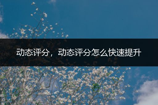 动态评分,动态评分怎么快速提升