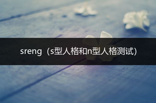 sreng(s型人格和n型人格测试)