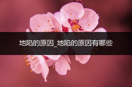 地陷的原因_地陷的原因有哪些