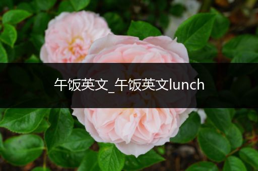 午饭英文_午饭英文lunch