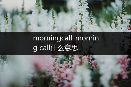 morningcall_morning call什么意思