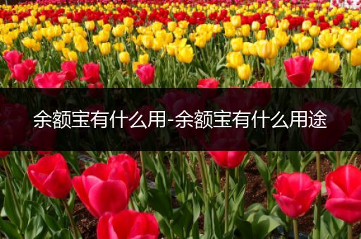 余额宝有什么用-余额宝有什么用途