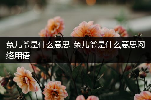 兔儿爷是什么意思_兔儿爷是什么意思网络用语