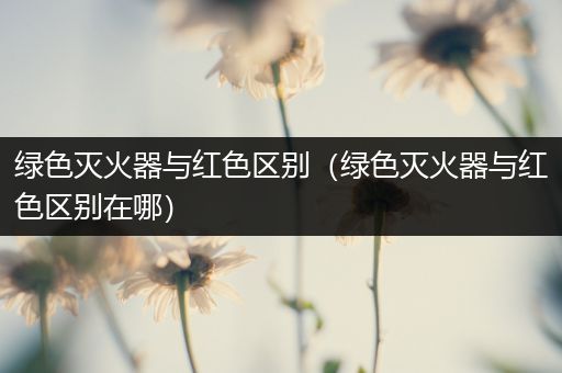 绿色灭火器与红色区别(绿色灭火器与红色区别在哪)