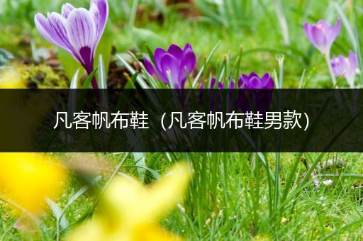 凡客帆布鞋(凡客帆布鞋男款)