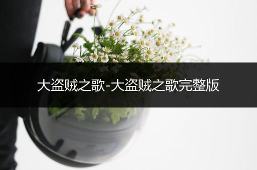 大盗贼之歌-大盗贼之歌完整版