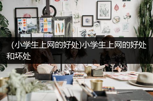 (小学生上网的好处)小学生上网的好处和坏处