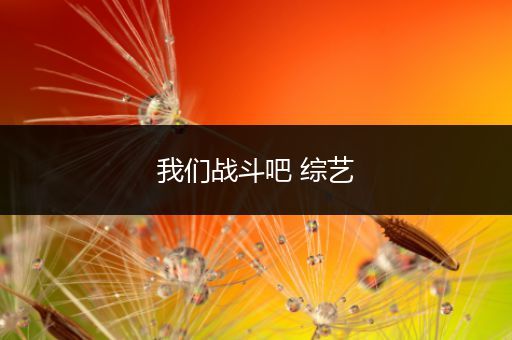 我们战斗吧 综艺
