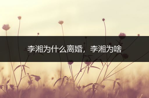 李湘为什么离婚,李湘为啥