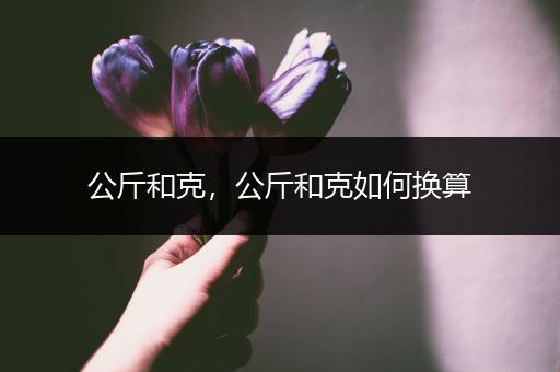 公斤和克,公斤和克如何换算