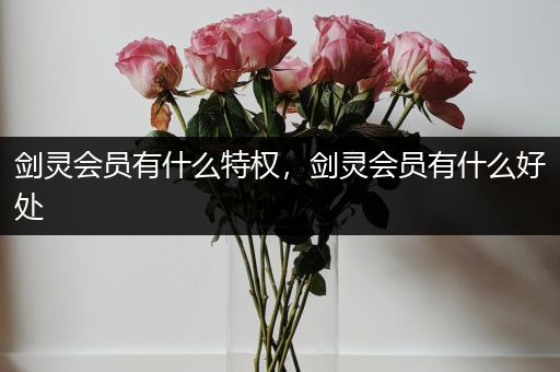 剑灵会员有什么特权,剑灵会员有什么好处