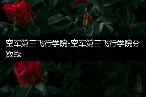 空军第三飞行学院-空军第三飞行学院分数线