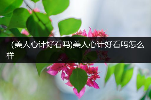 (美人心计好看吗)美人心计好看吗怎么样