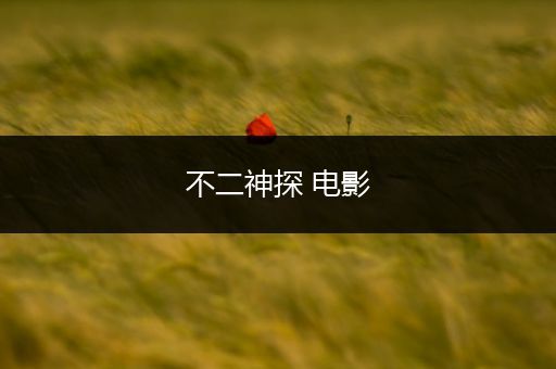 不二神探 电影