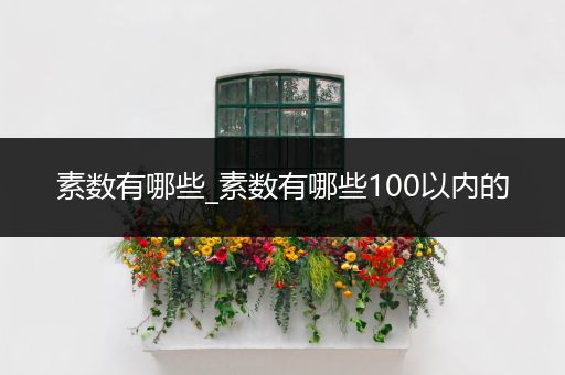 素数有哪些_素数有哪些100以内的