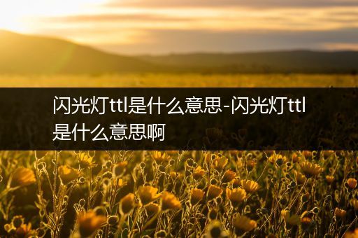 闪光灯ttl是什么意思-闪光灯ttl是什么意思啊